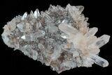 Himalayan Quartz Crystal Cluster #63046-2